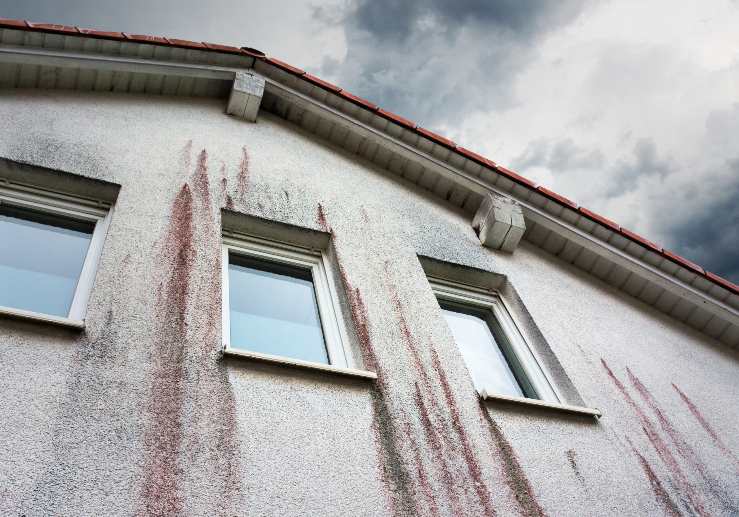 Comment nettoyer sa façade ? ses murs extérieurs , terrasse ou dallage 