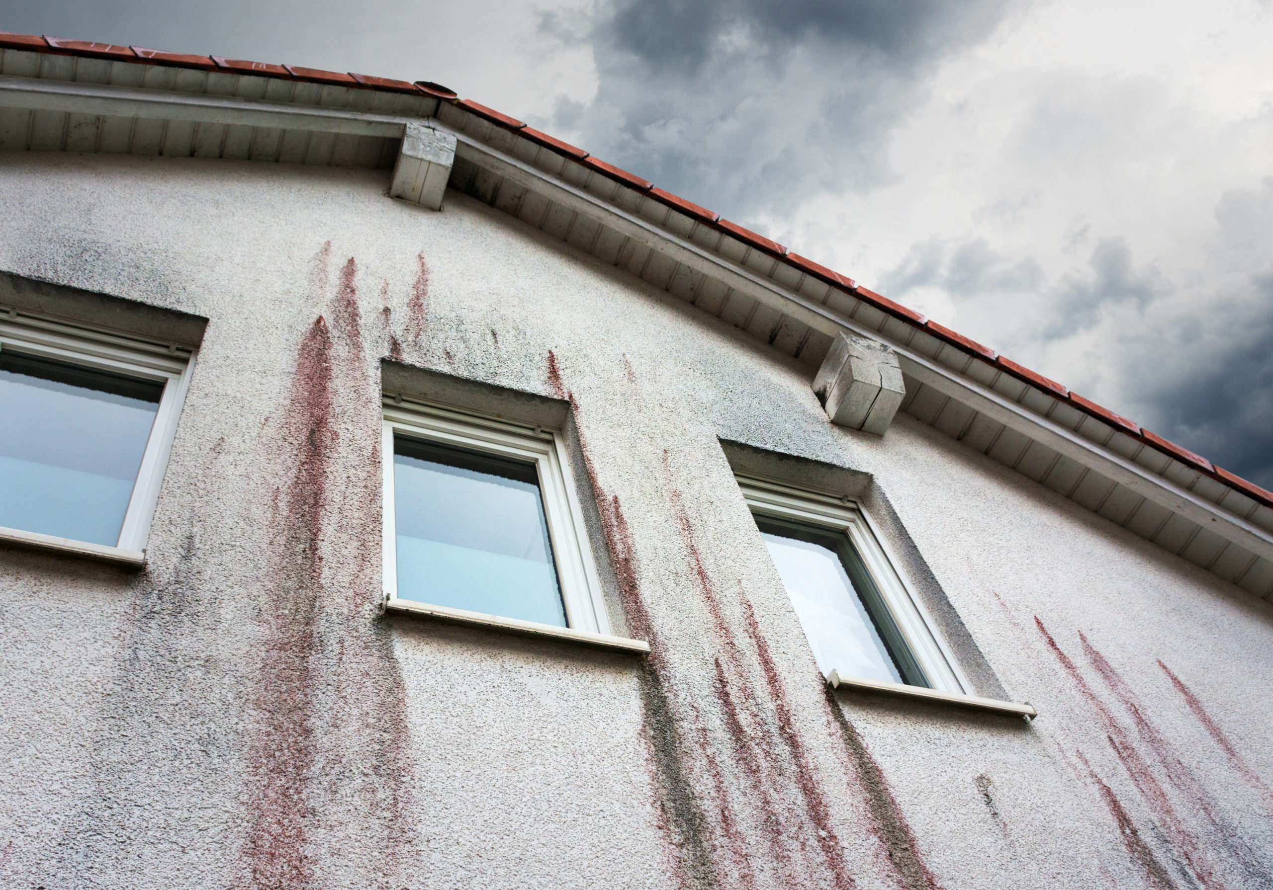 Traitement anti-dépots verts pour toitures, façades et terrasses AXTON, 20  L