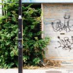 Biobasierter Permanentschutz vor Graffitis